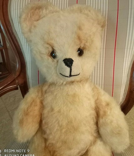 Grand ours peluche ancien - ours, en