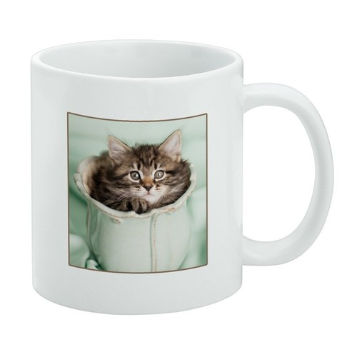 Manx kitten cat vase white - cat,
