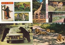 Lot de 4 cartes postales