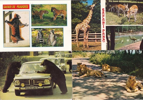 Lot cartes postales - de, 4