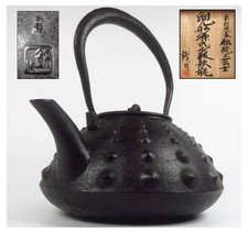 Théière Nambu Ironware