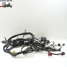 Faisceau électrique Aprilia