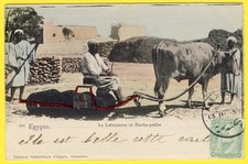 cpa EGYPTE Type Métier Le LABOUREUR Attelage Machine Agricole Le HACHE PAILLE