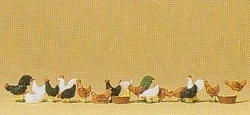 Poules coqs - poules,