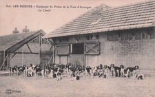 45* LES BORDES  chasse � le