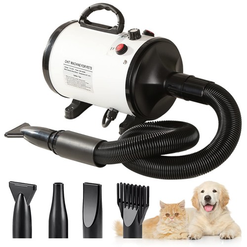 Pulseur chien professionnel - chien,