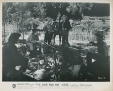 STEVE COCHRAN  THE LION AND THE HORSE  1952 PHOTO ORIGINAL #3