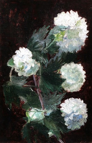 Tableau nature morte - , fleurs