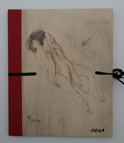 Pablo picasso carnets - pablo,