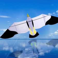 Cerf-volant léger Eagle Kite