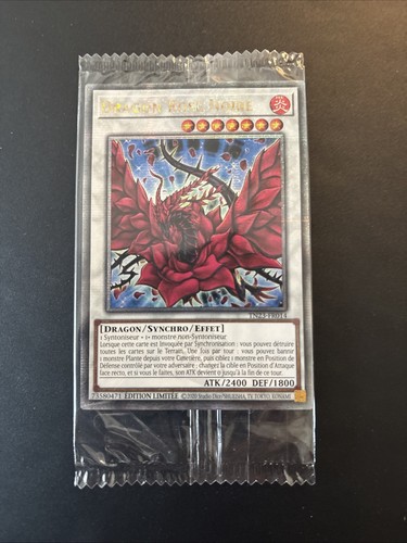 Dragon rose noire - dragon,