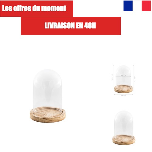 Chaks cloche verre avec - cloche,