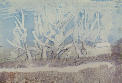 Paysage onirique neige - paysage,