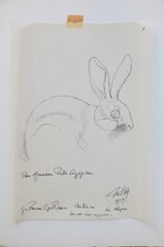 Tavy Notton ( 1914-1977) - Le Lapin - 1959
