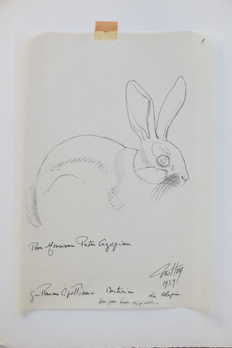 Tavy notton le - notton, 1914-1977)