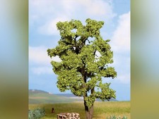 NOCH Acacia 15 cm - HO 1/87 -