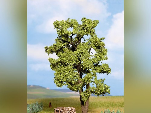Noch acacia 1 87 - -, ho