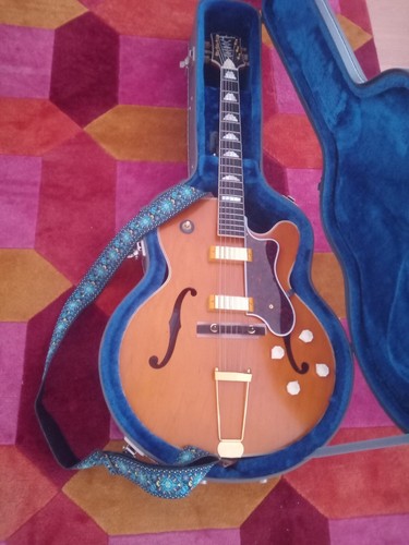 Guitare électrique vintage - guitare,