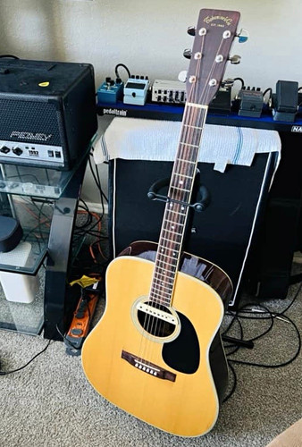 Takamine 360s 1977 - f-360s,