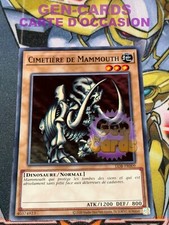 CARTE Yu Gi Oh CIMETIERE DE