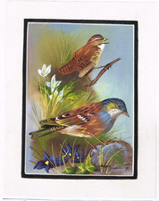 Fait à la Main Peinture