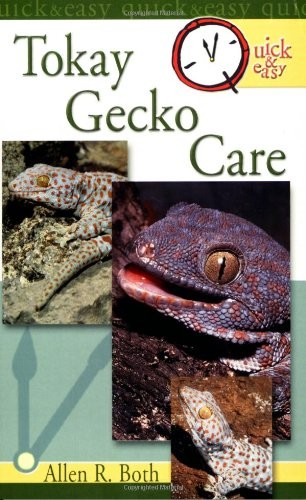Quick easy tokay - easy, gecko