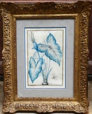 Aquarelle originale de Pierre