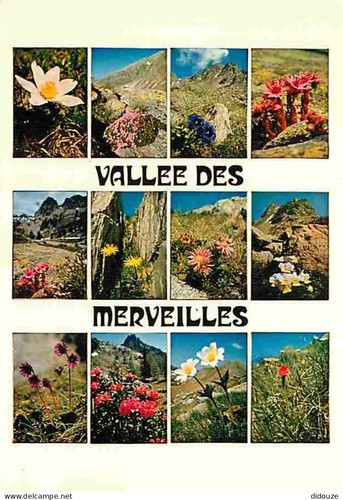 Carte postale alpes - carte,