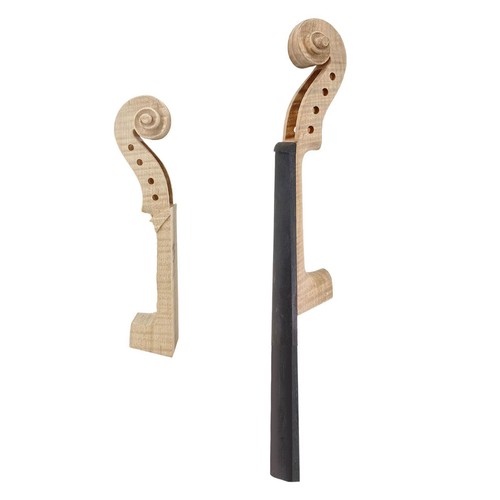 Tête manche violon - tête, de