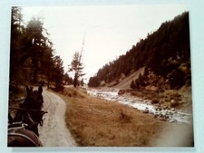 Horse-Drawn Carrosse Ride Along Mountain Stream Route st Moritz Suisse