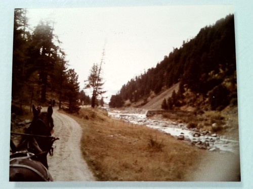 Horse drawn carrosse - carrosse, ride
