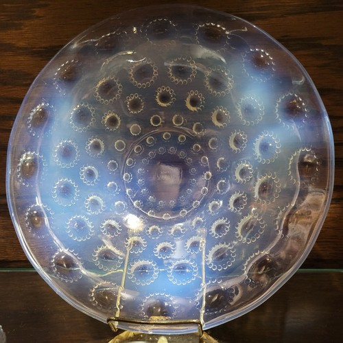 Rare lalique aster - rare,