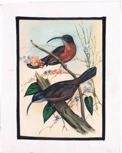 Peinture artisanale oiseaux - peinture,