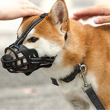 Muselière Réfléchissante