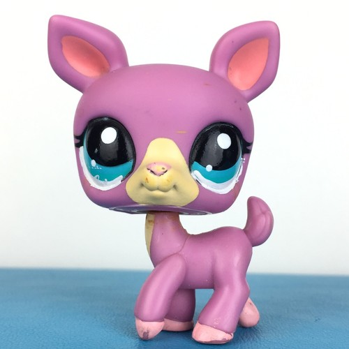 Authentic littlest pet shop - authentic,