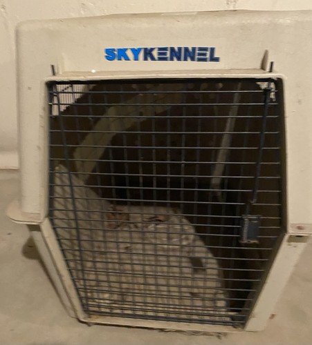 Sky kennel large - large, 40"
