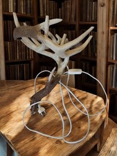 Ancienne lampe vintage en cornes, curiosité, décoration taxidermie, cabinet déco