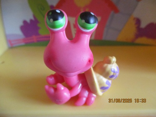 Petshop bernard hermite 62 - bernard,