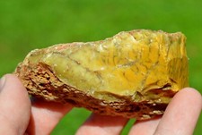 Opale dendritique - 147 grammes - Norseman, Dundas Shire, Australie