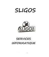 Pin's SLIGOS - Services Informatiques