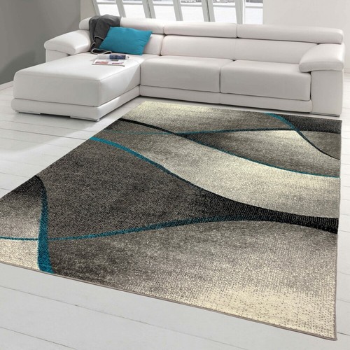 Tapis salon moderne design - tapis,