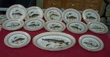 Lot Service 12 Assiettes Plat