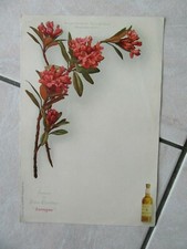 MENU 1900 PERES CHARTREUX