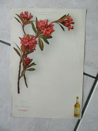 Menu 1900 peres chartreux - 1900,
