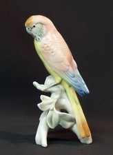 AA 19èm porcelaine Saxe KARL ENS jolie perruche 18cm225g perroquet rose meissen