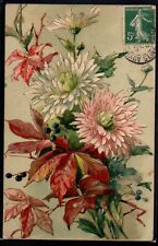BM075 REINES MARGUERITES VIGNE VIERGE Belle LITHO KOPAL 1907