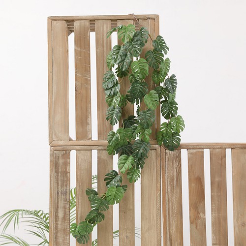 Feuille palmier plantes - feuille, de