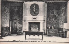 41 CHAUMONT SUR LOIRE LE CHATEAU SALLE DU CONSEIL