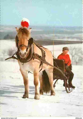 Carte postale animaux - carte,