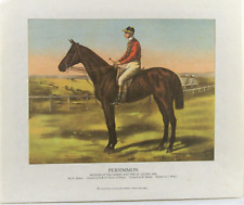 ANCIENNE GRAVURE ANGLAISE, 1950, cheval Persimmon, courses hippiques, offset